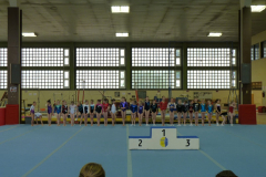 Sächsische Einzelmeisterschaften Gerätturnen 2014