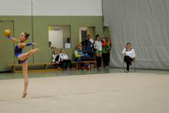 Sächsische Meisterschaften Rhythmische Sportgymnastik 2014