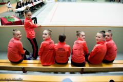 Sächsische Meisterschaften Rhythmische Sportgymnastik 2015